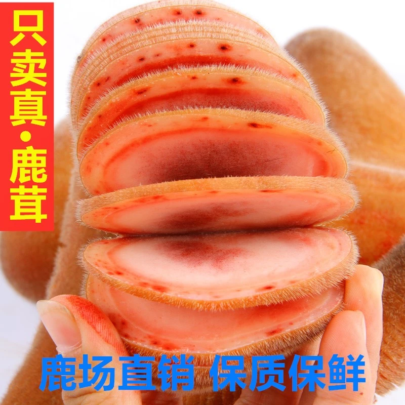 头茬吉林梅花鹿元宝茸/嫩头茸/二杠鹿茸/蜡头 直播直选泡酒材料