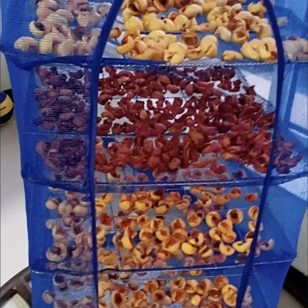 新款折叠晒鱼网防蝇笼晒鱼干笼晒干网晒菜网家用晒地瓜干干货神器