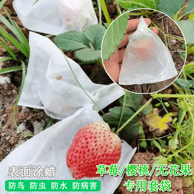 草莓专用套袋无花果车厘子樱桃保护袋小蜡袋防虫防鸟防雨防水防病