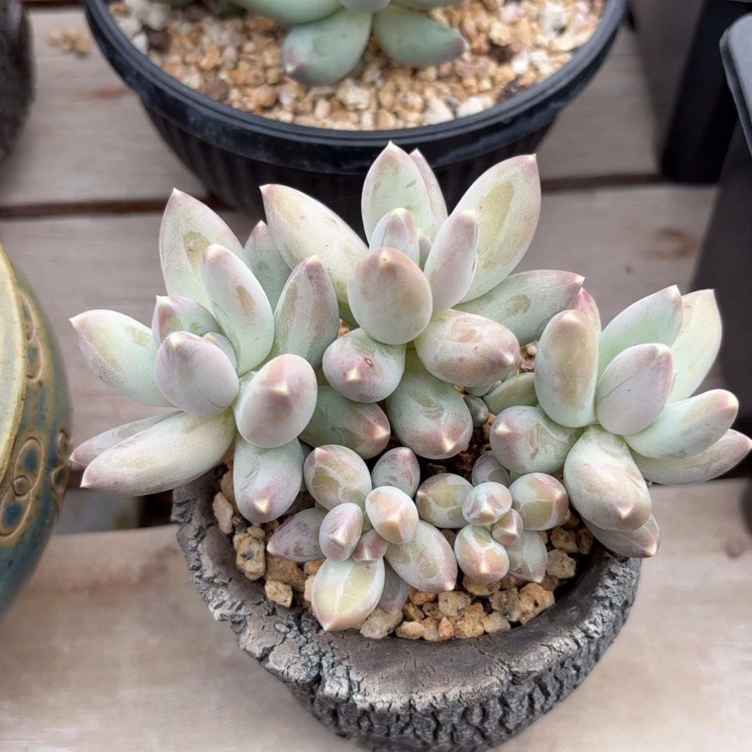 111111111111111111111111111