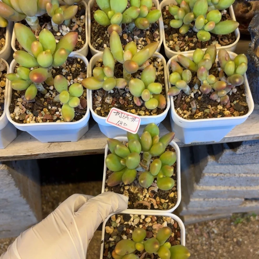 111111111111111111111111