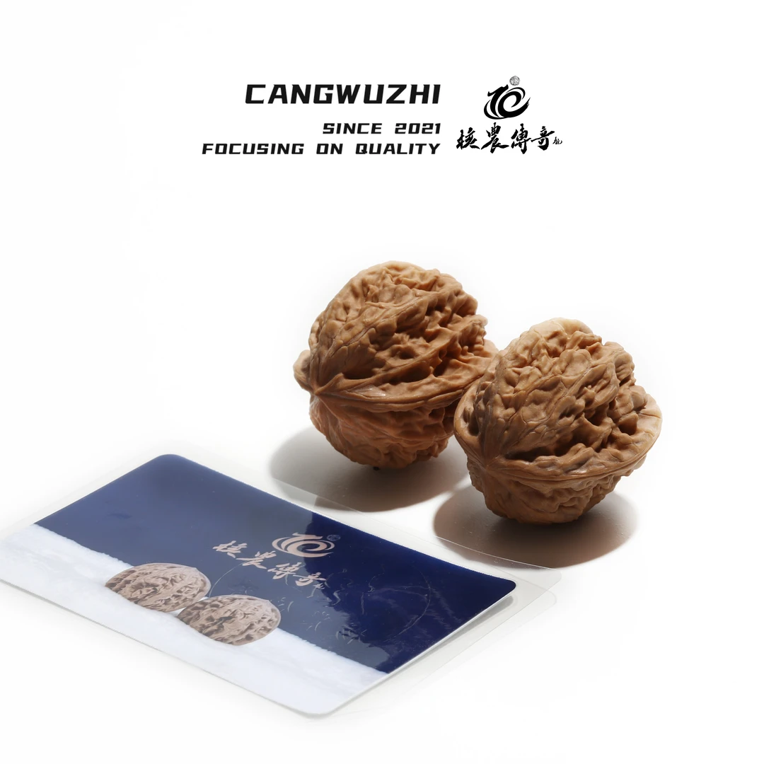 【藏物志】核农传奇-蟠龙-mini文玩核桃