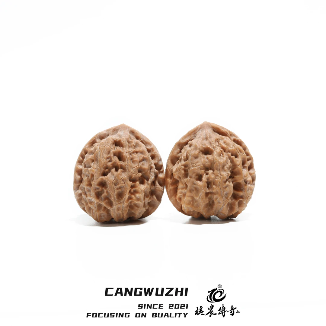 【藏物志】核农传奇-岩龙-mini文玩核桃