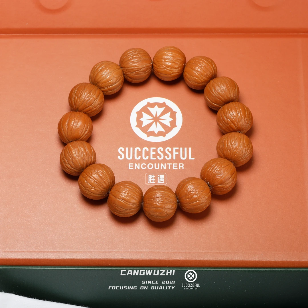 【藏物志】胜遇 入门级 聚宝盆 原桩猴头