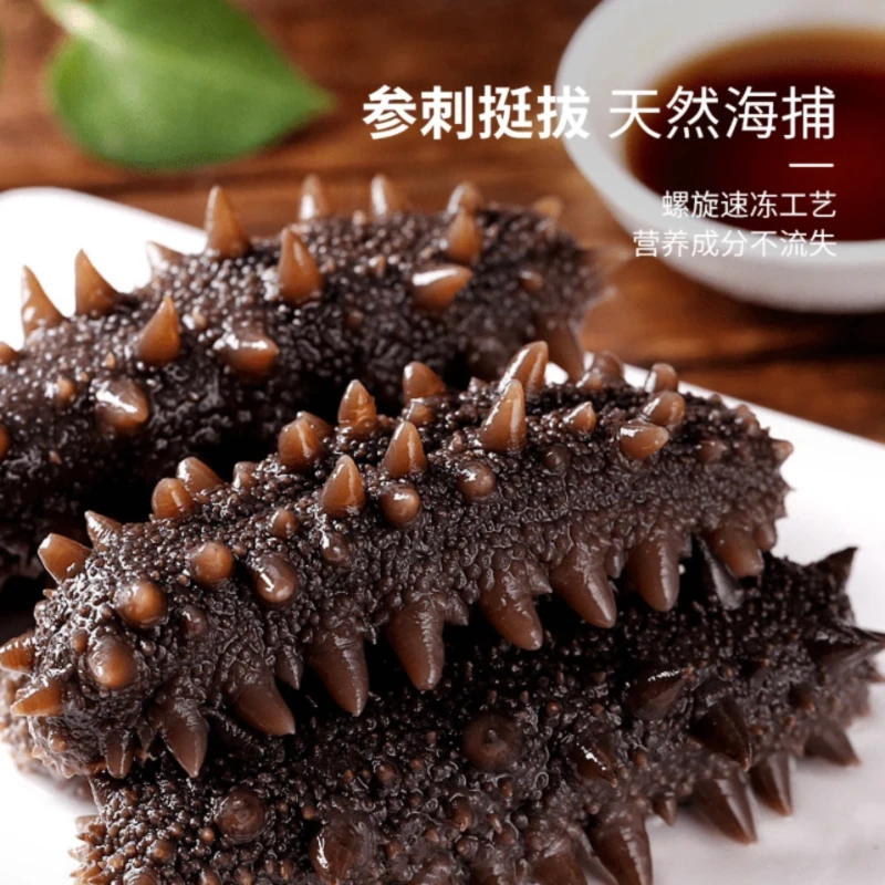 【专属福利】大连源头发货鲜食海参7-9头深海新鲜品质即食