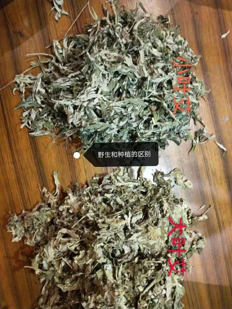 5厘米直径野生石磨绒艾条雷火灸强劲大泡灸