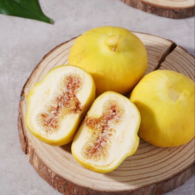 新疆阿图什无花果鲜果新鲜水果喀什糖包子无花果