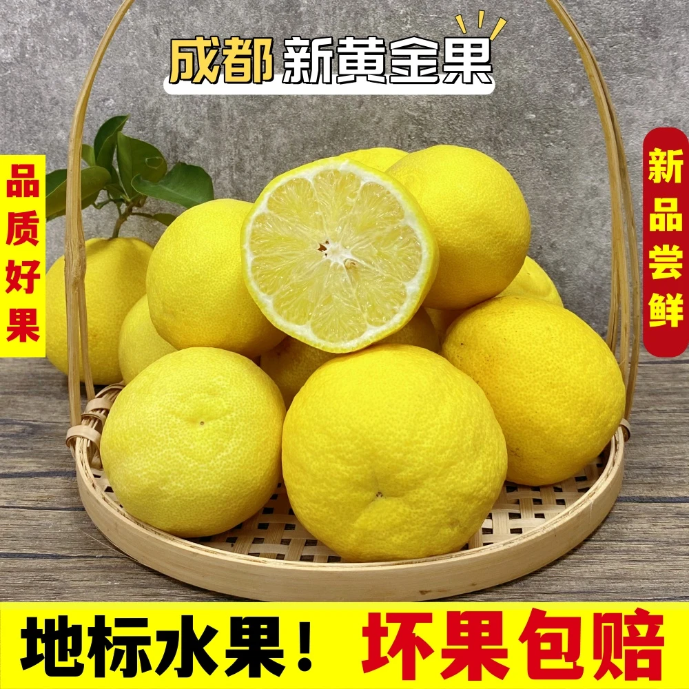 四川新鲜黄金果应季水果非柠檬梅花橙子柑橘泡水泡酒整箱产地直发