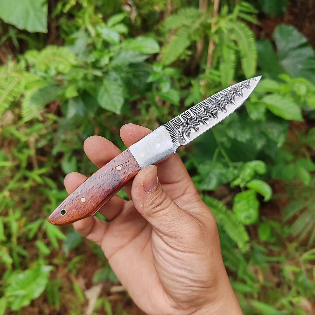 手工锻打大马士革钢制作精美野营烧烤刀家用水果刀（1）