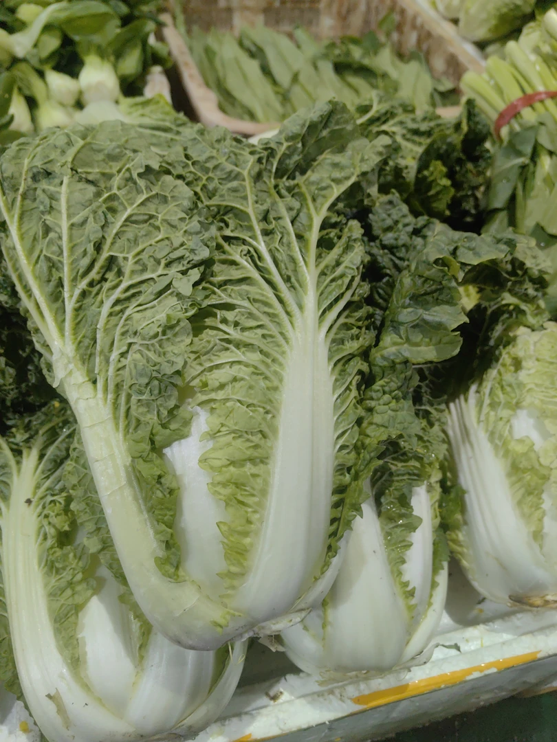 本地毛白菜约1000克（生鲜下单后不支持退货，请慎拍）