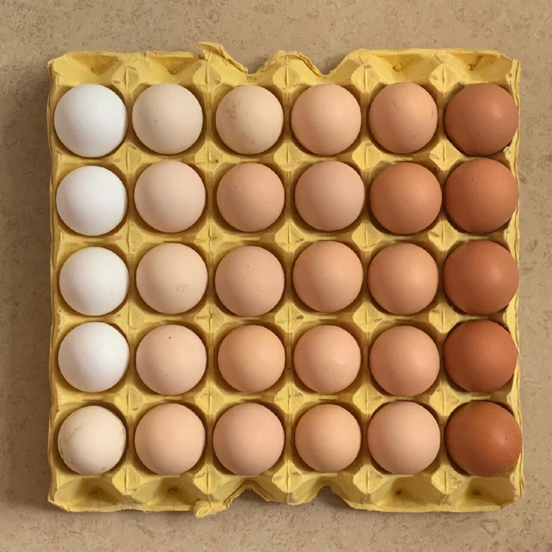 新鲜鸡蛋一板30个。(生鲜下单后不支持退货。请慎拍。