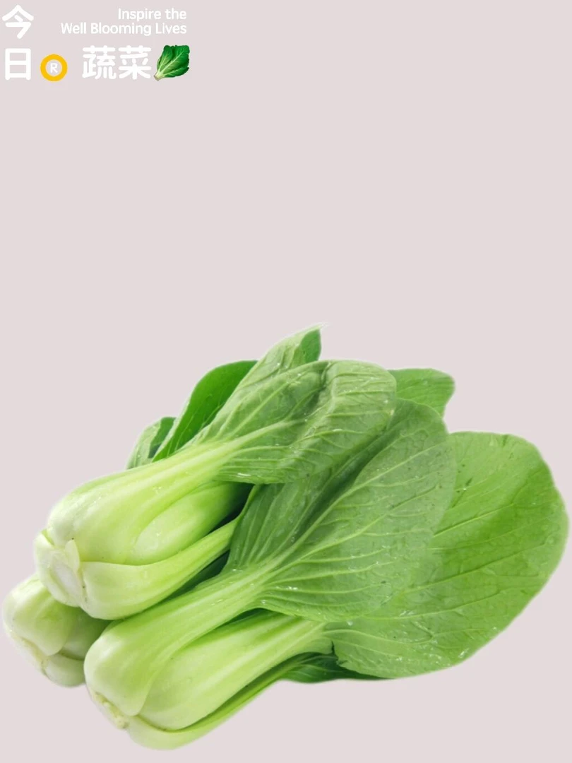 上海青约500g（生鲜下单后不支持退货，请慎拍）