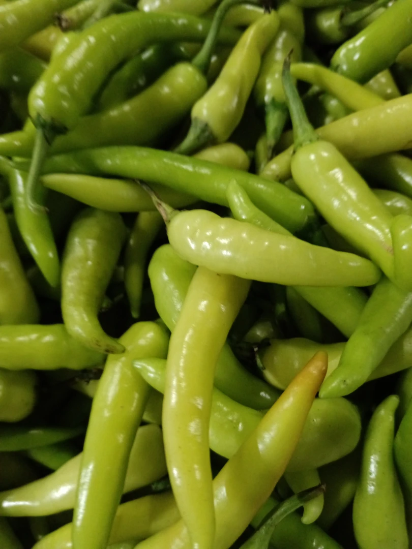 辣椒王约250g（生鲜下单后不支持退货，请慎拍）