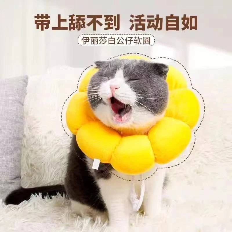 新款伊丽莎白圈柯基泰迪博美巴哥猫咪绝育圈脖圈防舔可爱