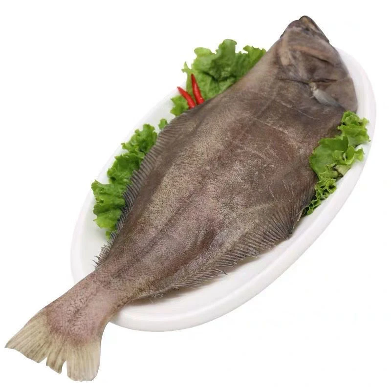 正品整条带头深海鸦片鱼比目鱼鲽鱼新鲜鲽鱼 冷冻水产