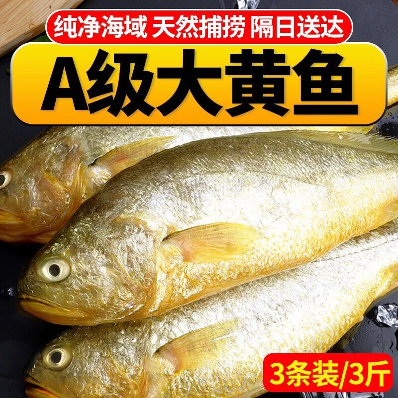3条3斤新鲜东海半野生冷冻大黄鱼黄花鱼1斤每条