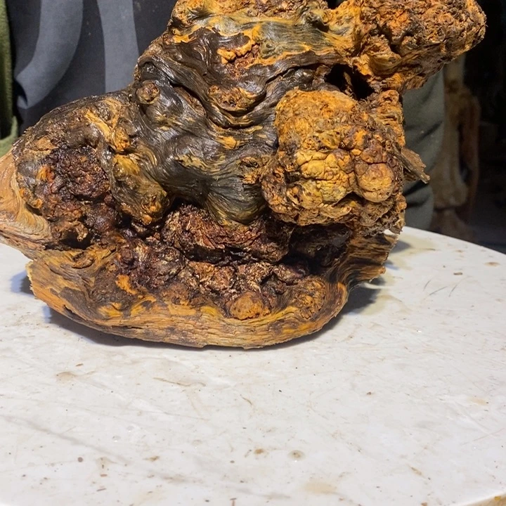 信*我们都是你的粉丝44