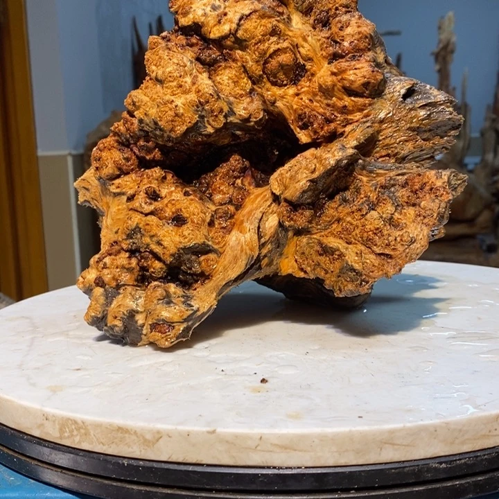 祖*堂我们都是你的粉丝48