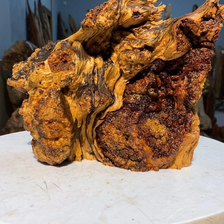 东*狼我们都是你的粉丝14