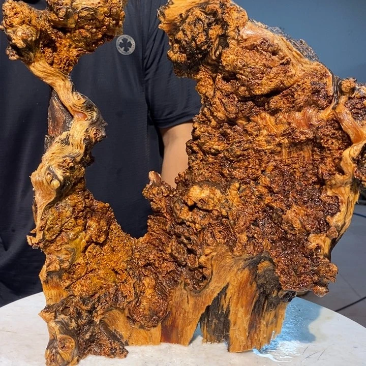 诚*我们都是你的粉丝41