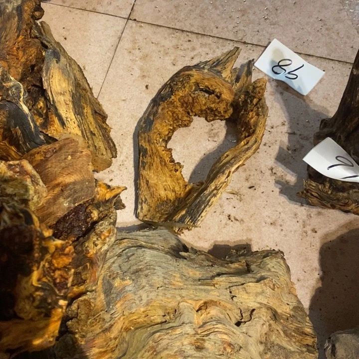 先*我们都是你的粉丝98