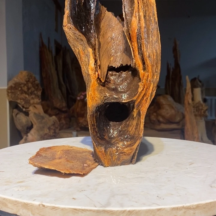 自**子我们都是你的粉丝20