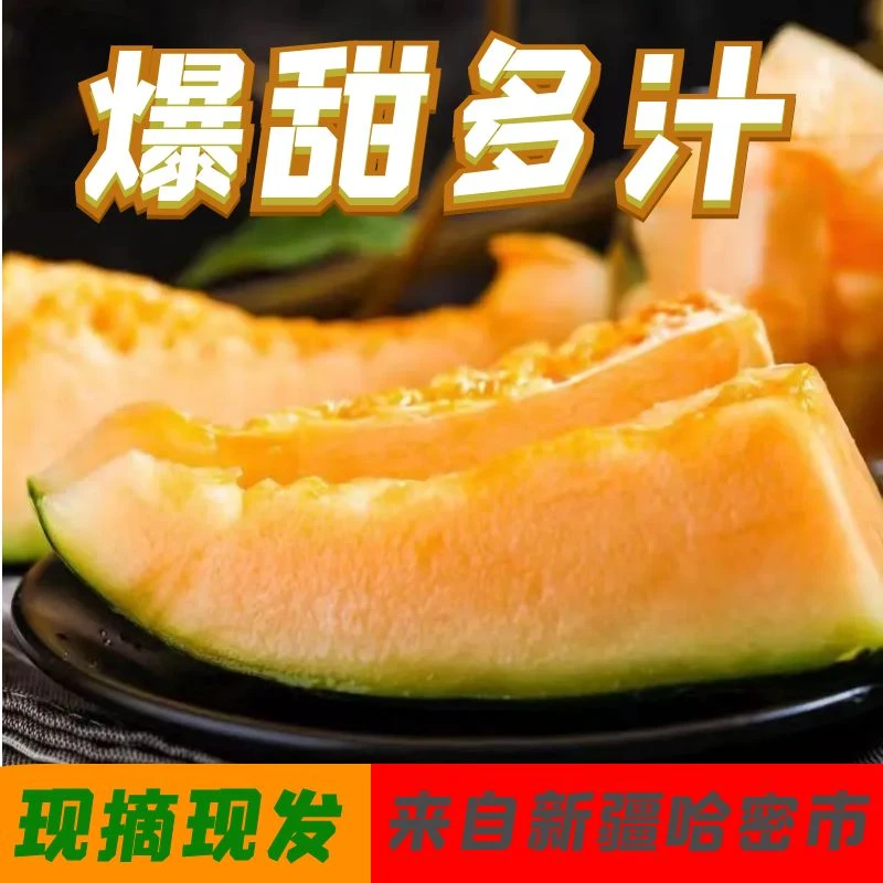 【大白菜专属大瓜】新疆哈密淖毛湖晚熟哈密瓜脆甜多汁全国包邮