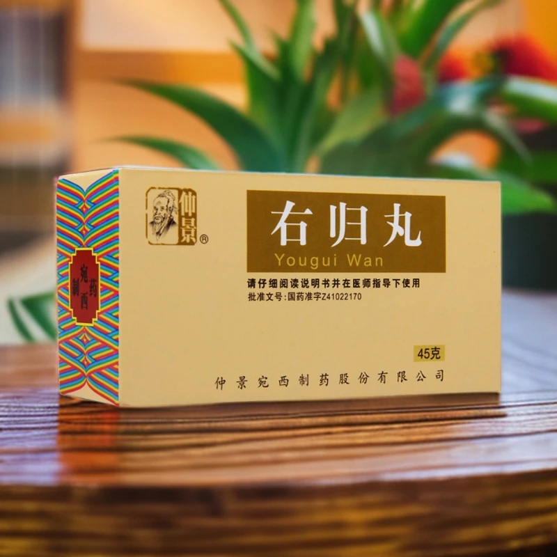 仲景 右归丸45g*1瓶