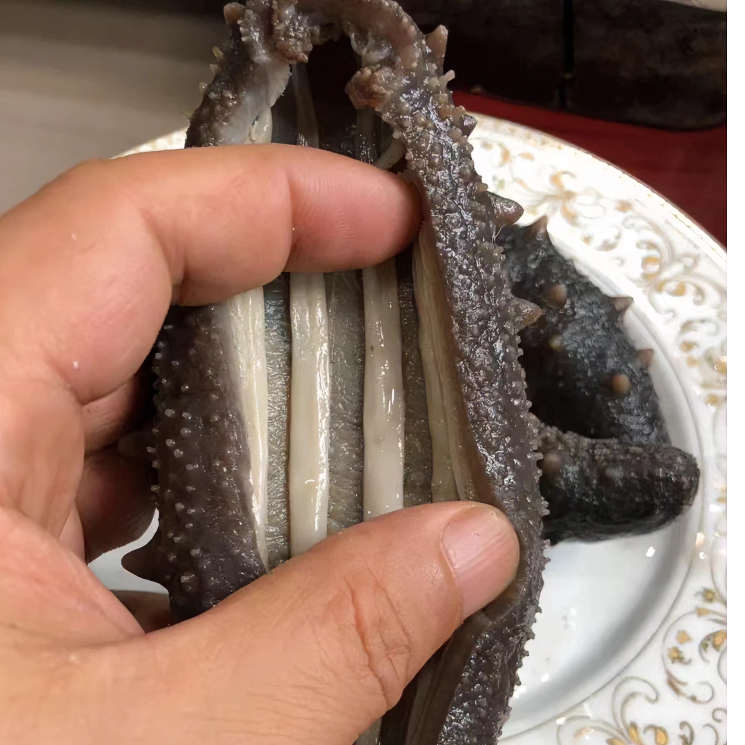 免费试吃一只，云英鲜食海参，解冻即吃