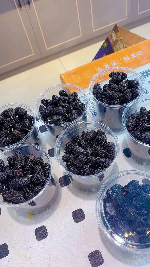 桑葚【已洗好】