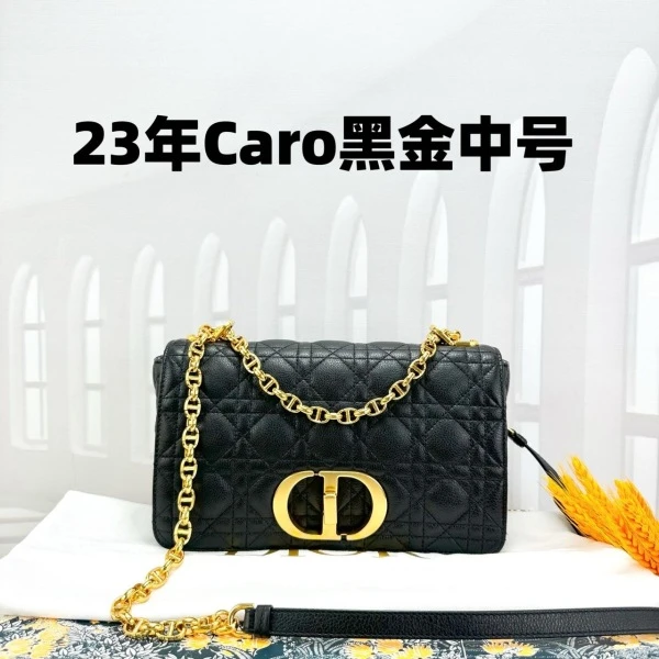 95新/妃鱼/单肩包/迪奥/241015SW0008