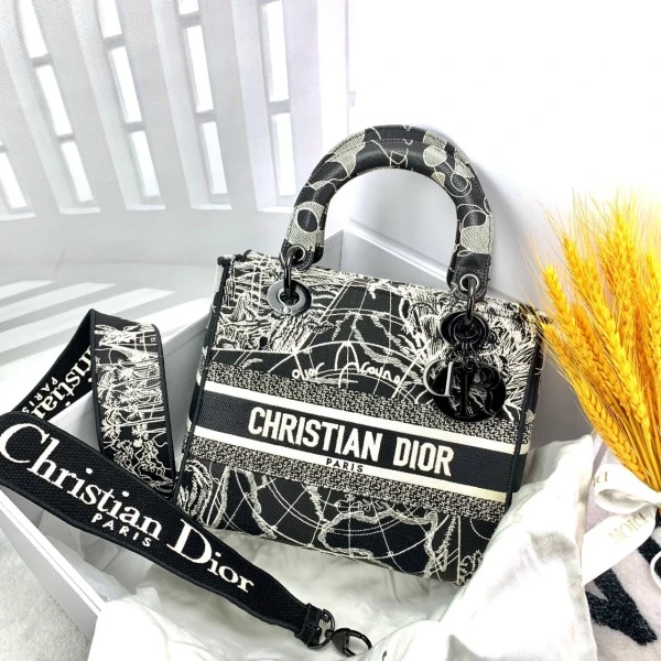 95新/妃鱼/单肩包/迪奥/240723SW0008