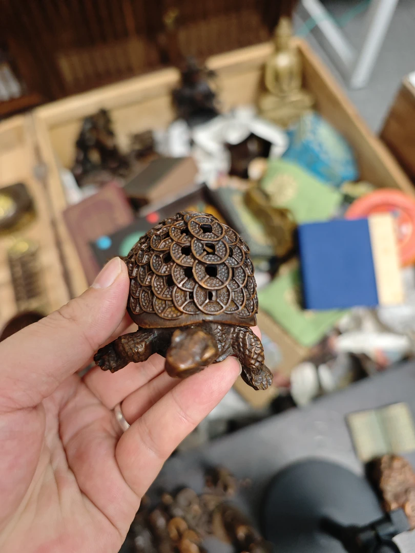 【闪购链接】金钱龟