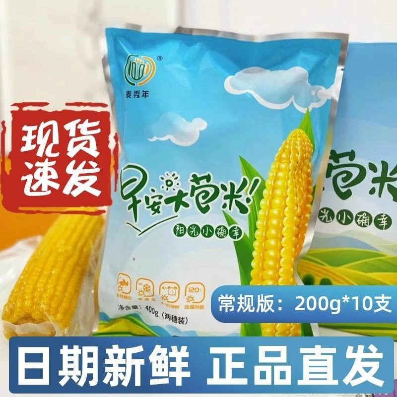 独立包装早安大苞米10只礼盒装净重2斤金黄香甜软糯玉米香糯