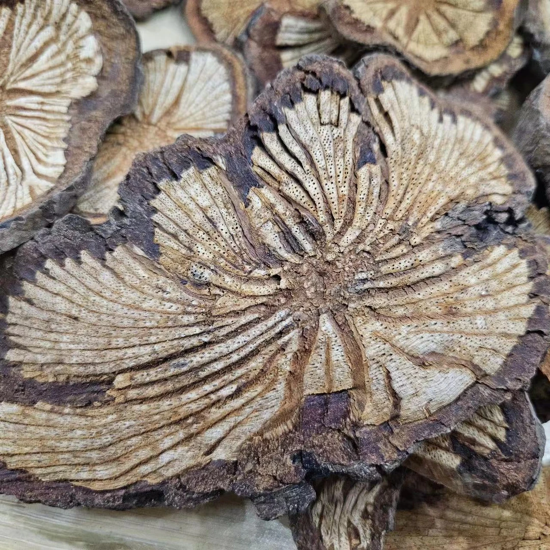 云南干货血-（塞）——通特产山货链接