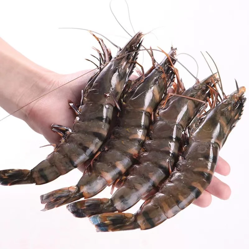 L青岛当地野生大大号黑虎虾一斤8-10只，4斤32-40只，活虾速冻顺丰