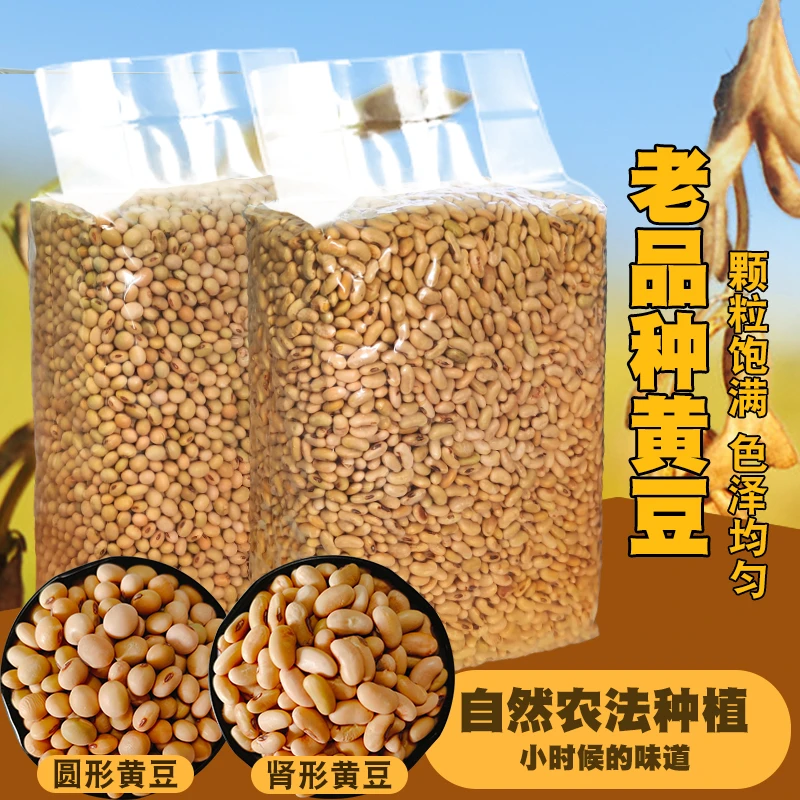 【红薯仙子】圆形黄豆&肾形黄豆（自然农法种植）