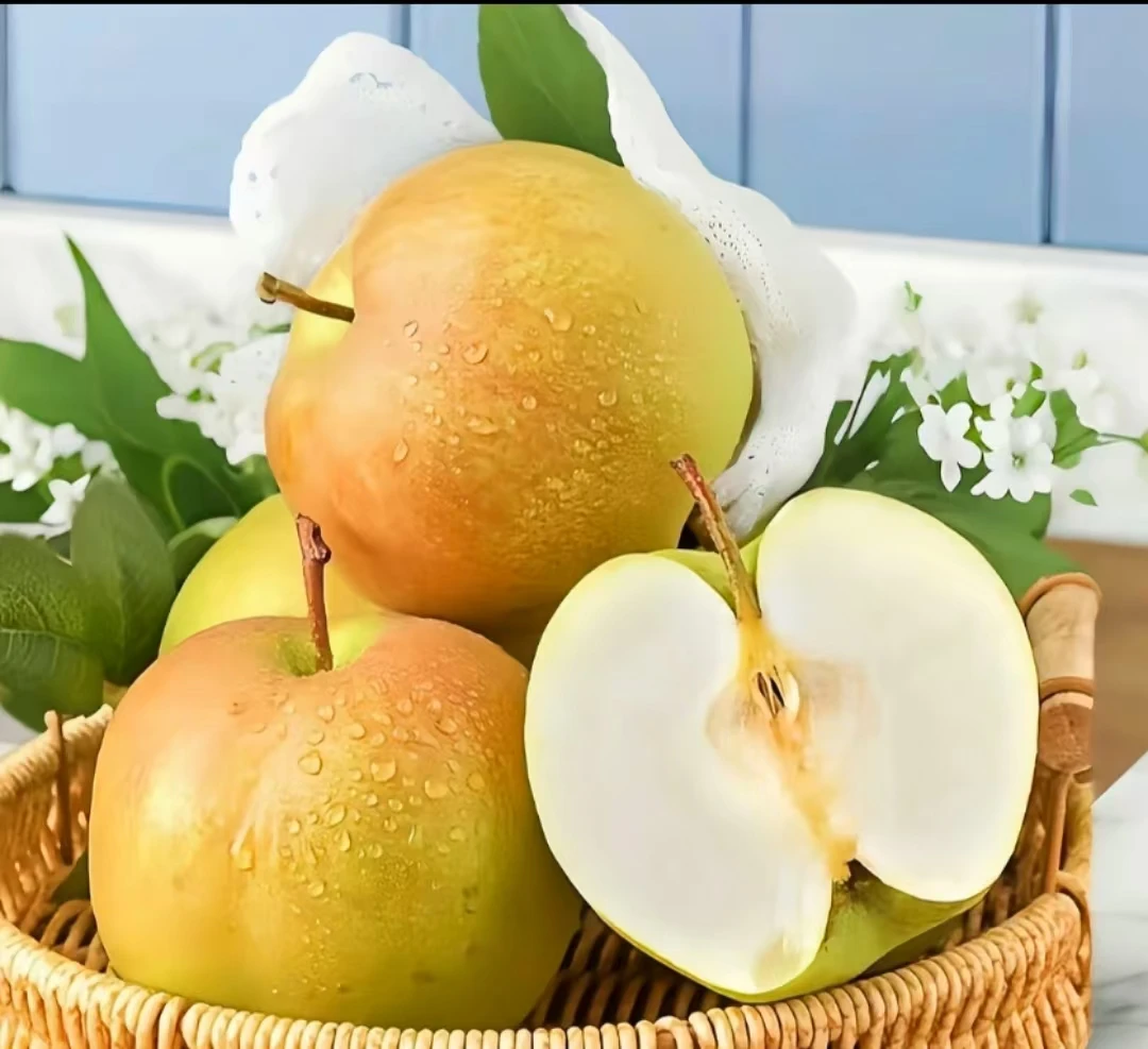 36°双层精品玉露香梨 带箱10斤左右