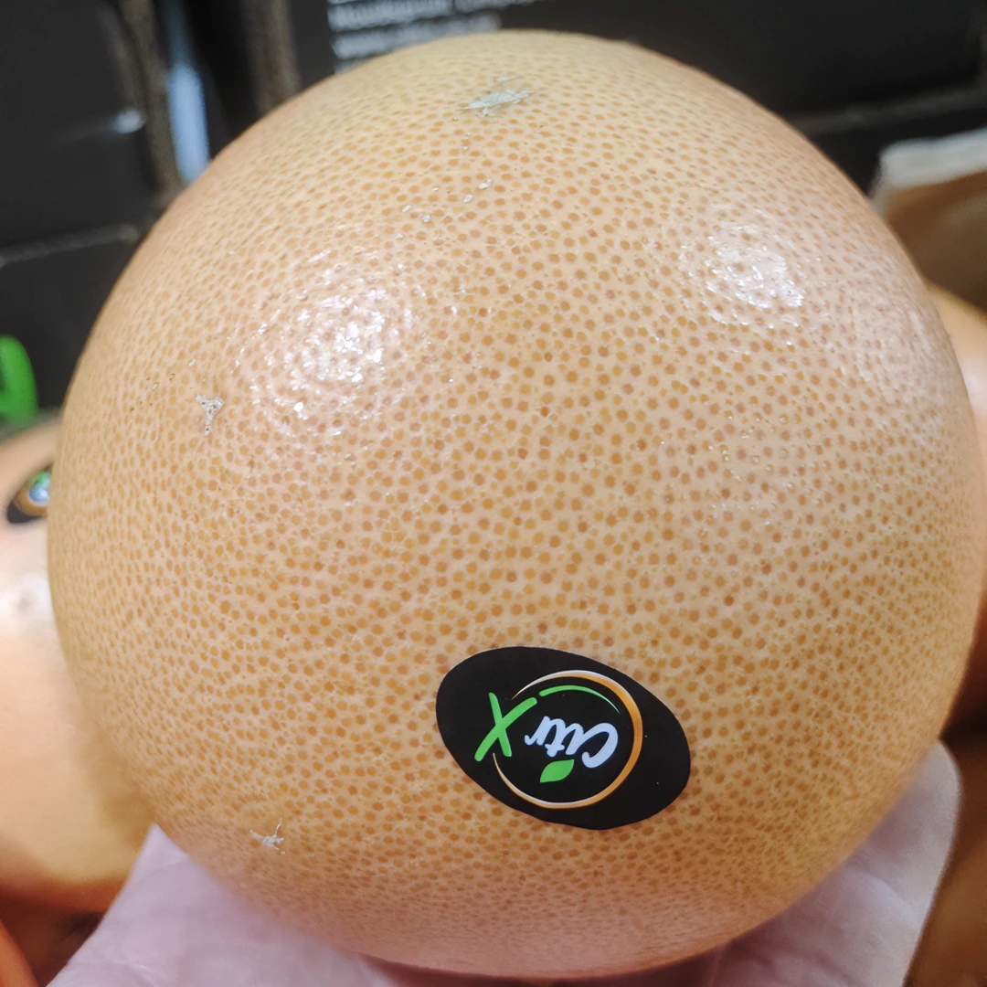 西柚净重3-3.5斤左右