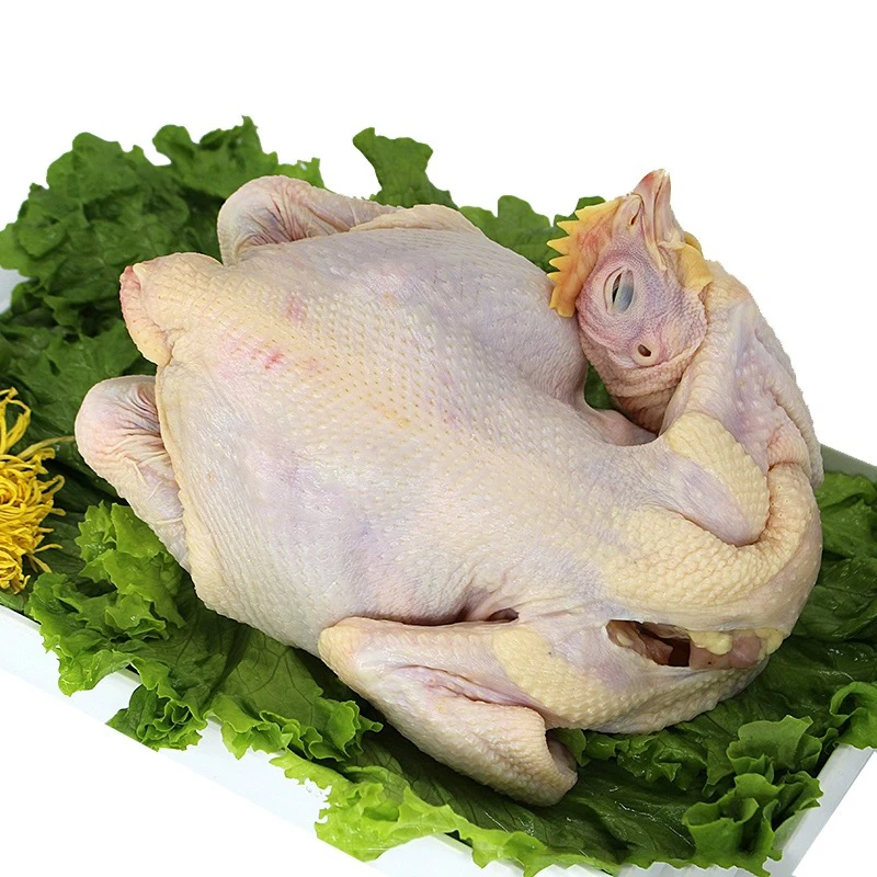 三黄鸡一只（约1.9斤）