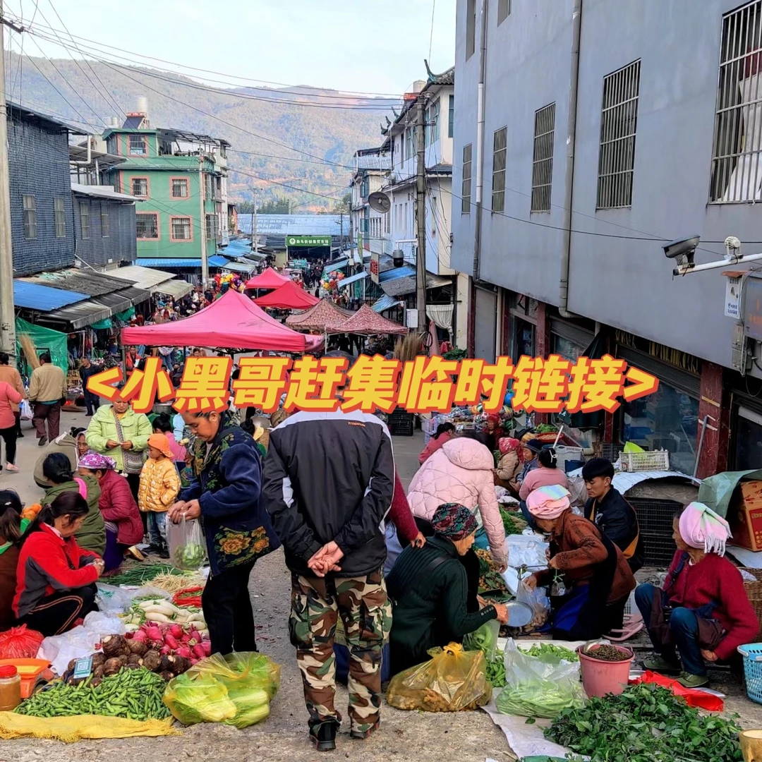 软籽石榴5斤【临时链接3】小黑干货土特产直播间专用香菇