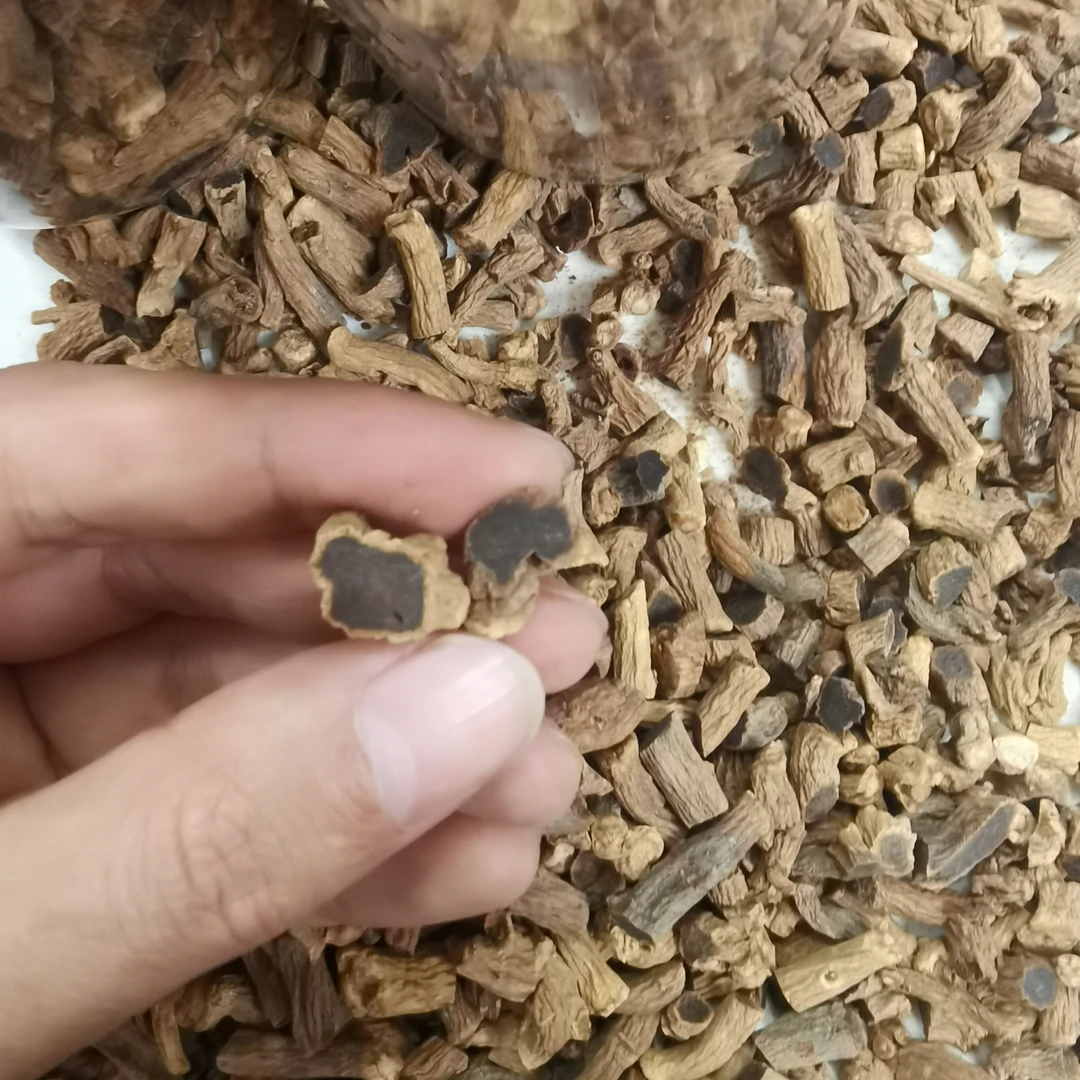 高丽参丁金边黑参腿黑参小丁高丽参小腿细腿参尾整枝参腿剪下参丁
