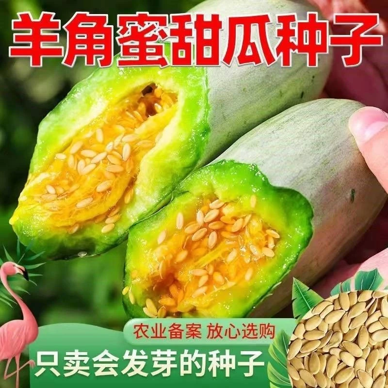 【1包也包邮】羊角蜜甜瓜种子甜脆羊角酥种精选早熟季瓜果蔬菜种子