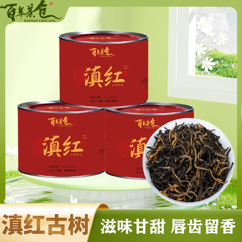 热滇红古树红茶 新茶滇红古树茶叶蜜香花果香薯香型高山古树红茶