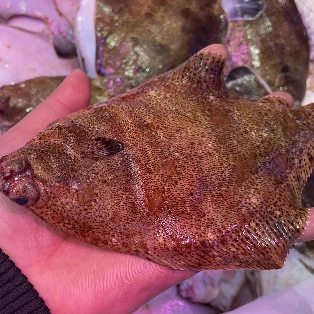 琅琊本地鼓眼鱼3斤