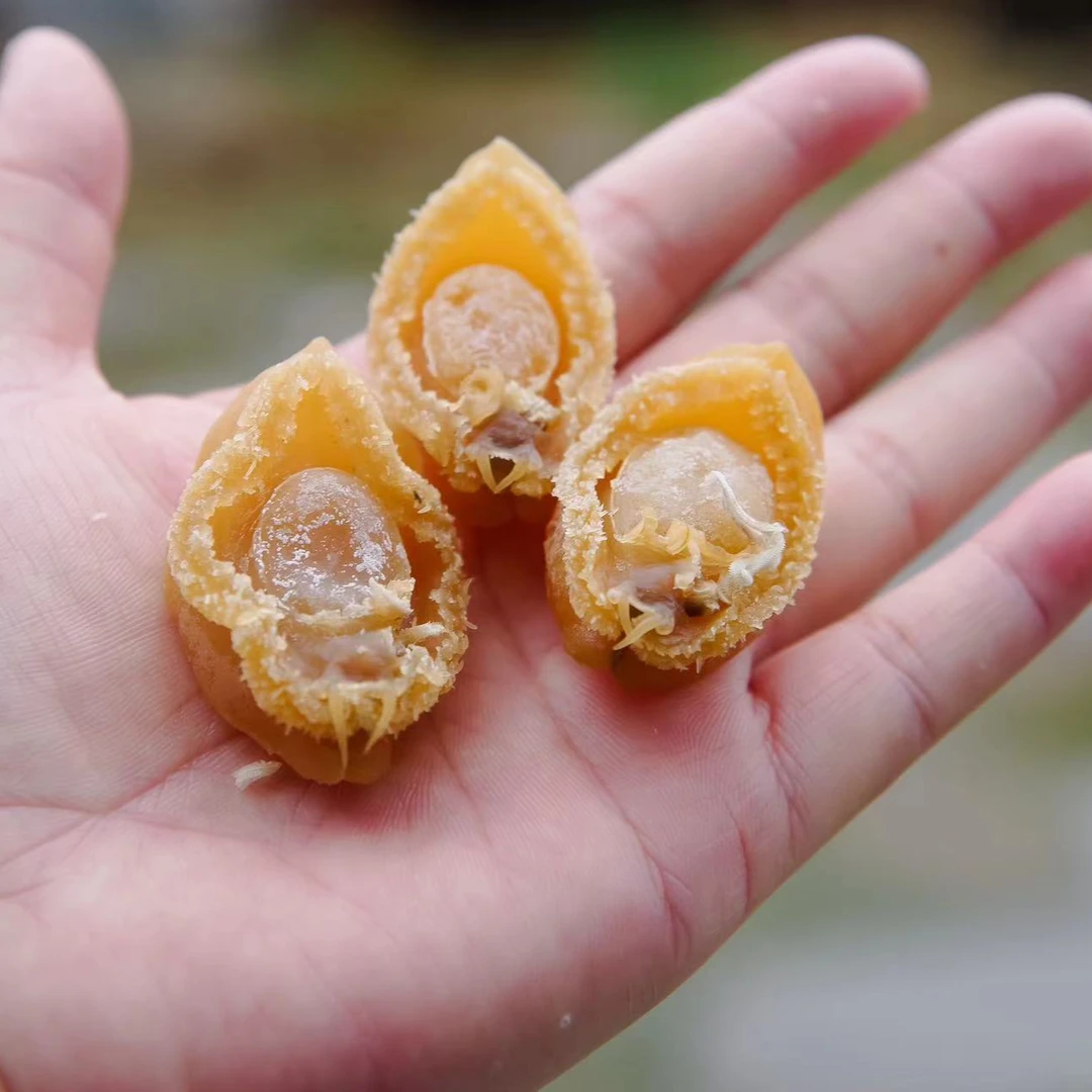【阿宇精选】50头大鲍鱼干淡晒鱼干佛跳墙煲粥海鲜海味焖烧排骨送礼