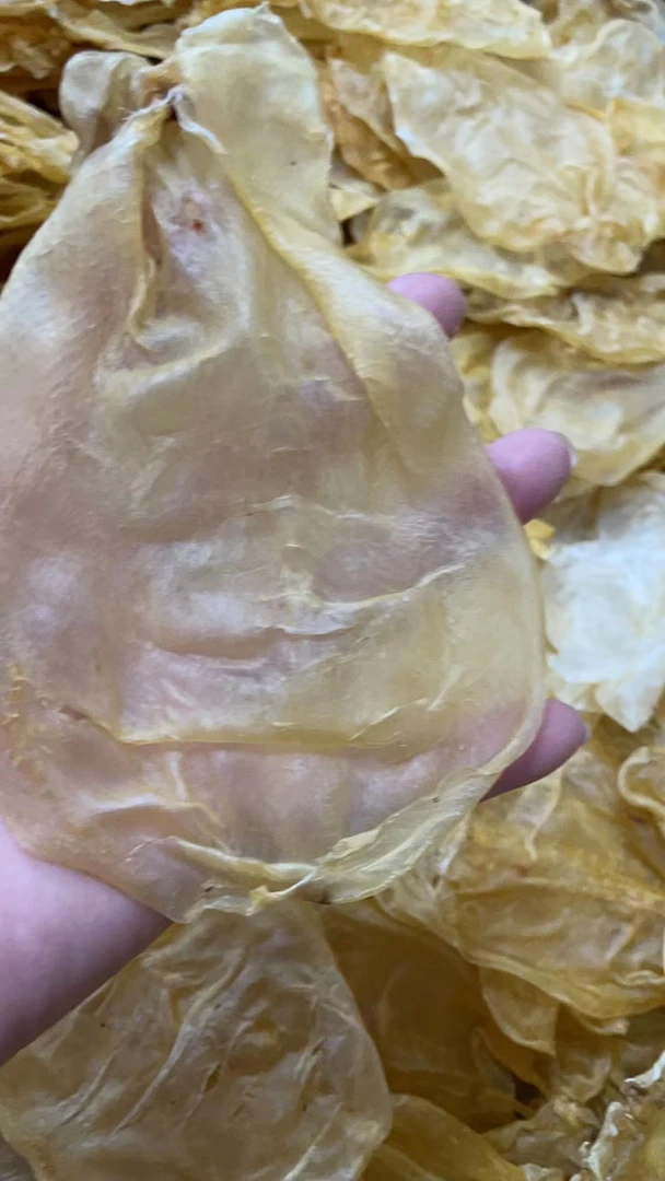 甲肚蜘蛛鱼胶-1-500g-直播实际称重