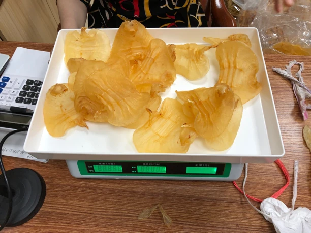 湛江赤嘴鱼胶1-500g-珠姐食品