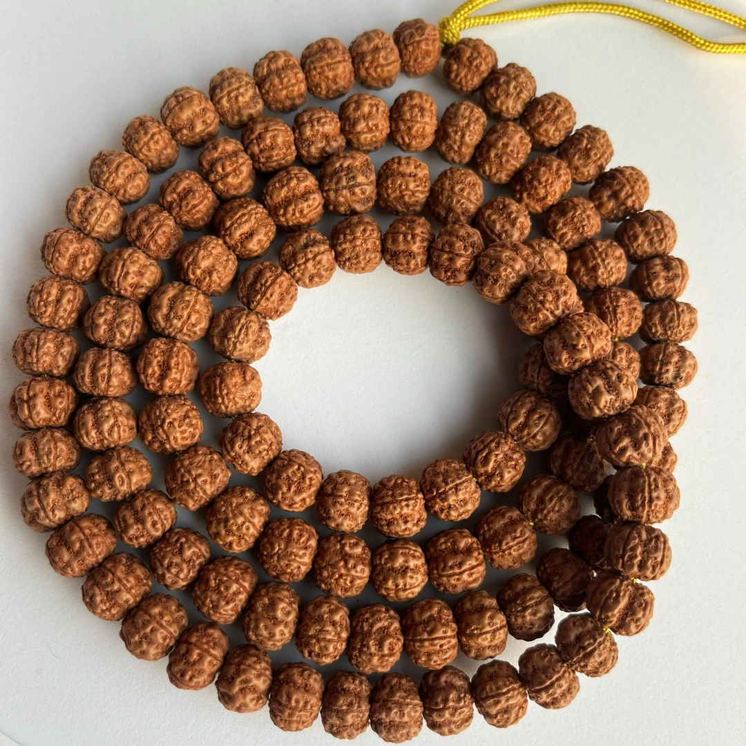 原皮原色花王小金刚颗颗梅花桩拒绝滚筒拒绝作色拒绝泡药手盘