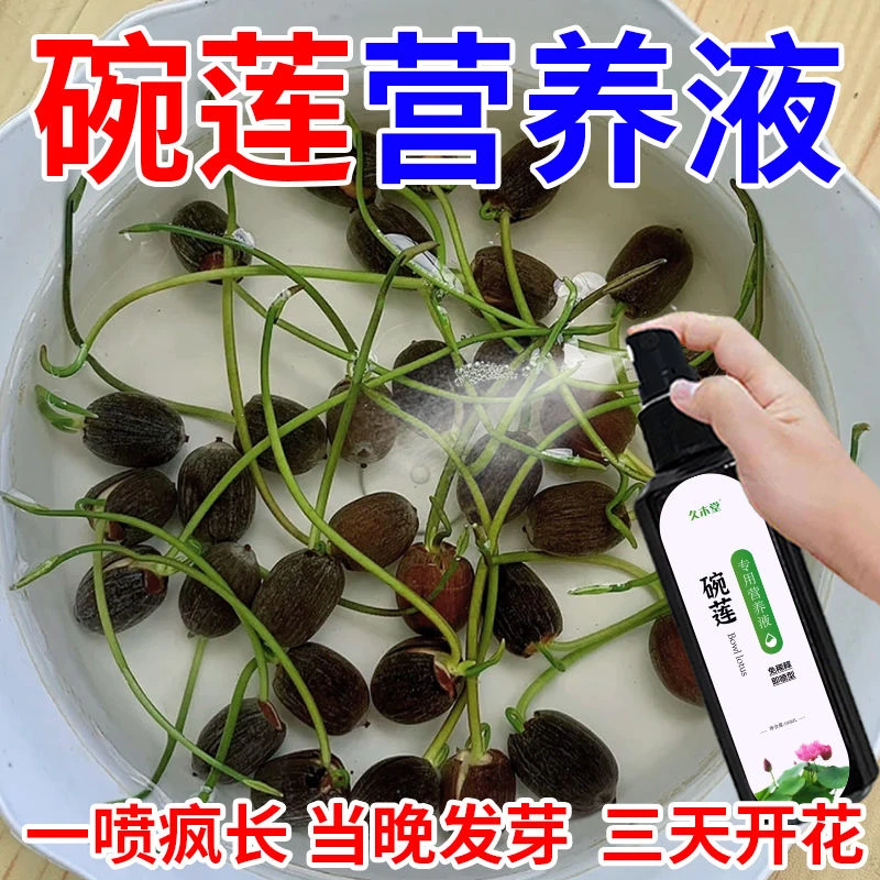 碗莲营养液专用水溶肥水培土培睡莲通用肥料治生长慢不发芽不开花